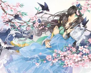 深入了解 日韩在线永久域名自动跳转无广告